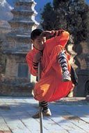 Shaolin Wheel Of Life Monks monkey